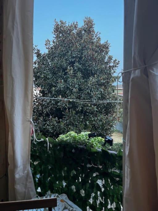 Appartamento Treviglio-Centro מראה חיצוני תמונה